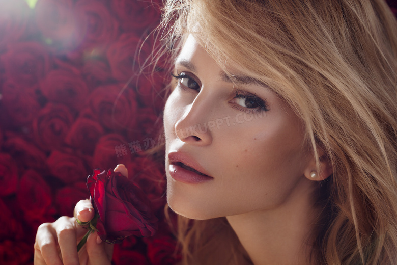红色玫瑰花与美女特写摄影高清图片