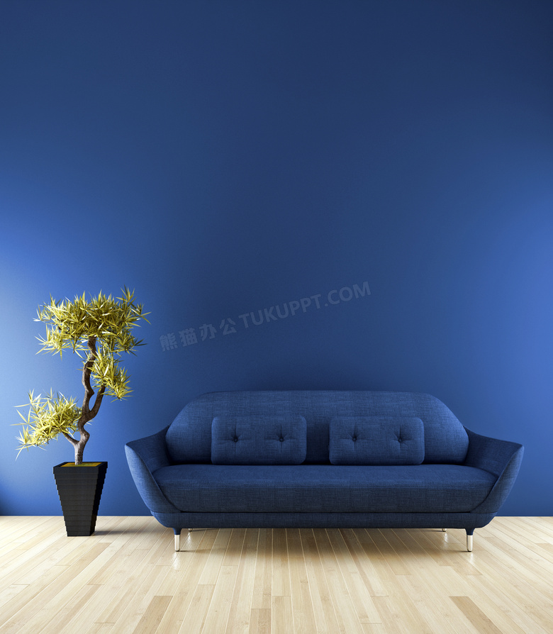 房间里的盆景与蓝色的沙发高清图片