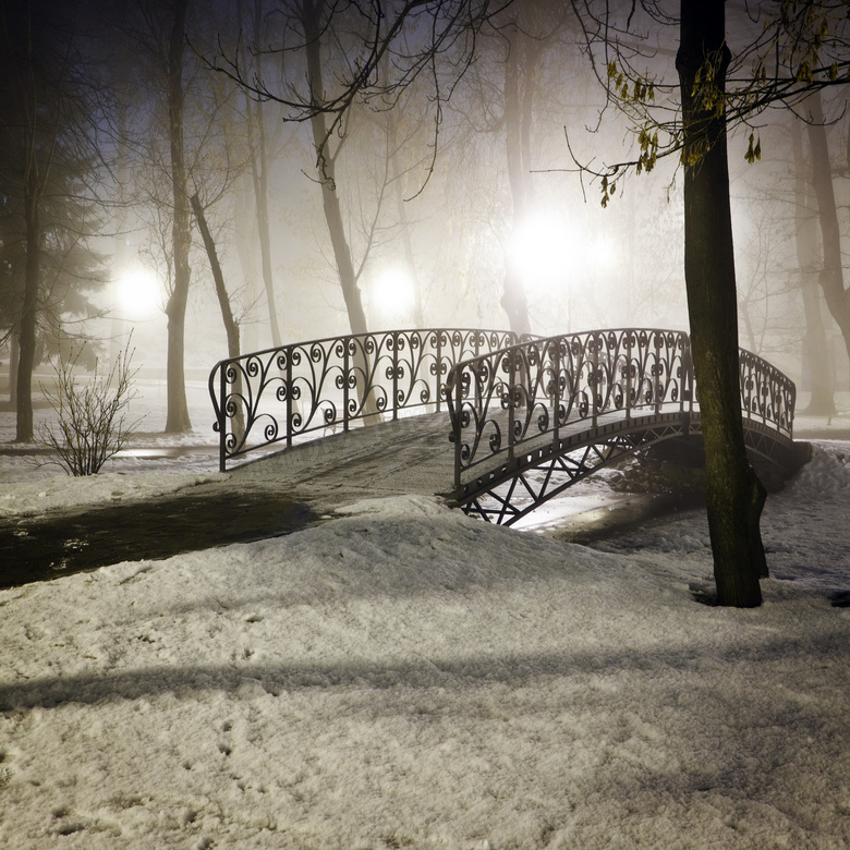 冬天公园里的小桥树木摄影高清图片