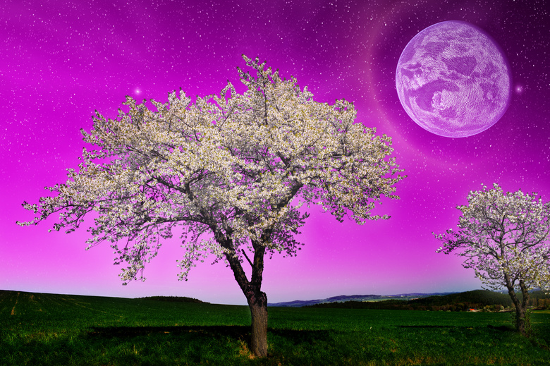 紫色天空圆月等超现实设计高清图片