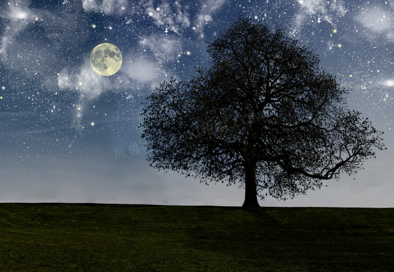 夜晚星空月亮大树草地摄影高清图片