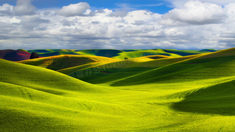 美丽的山坡绿色草地摄影图片