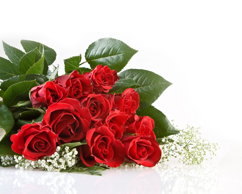 红色玫瑰花与白色小花高清摄影图片