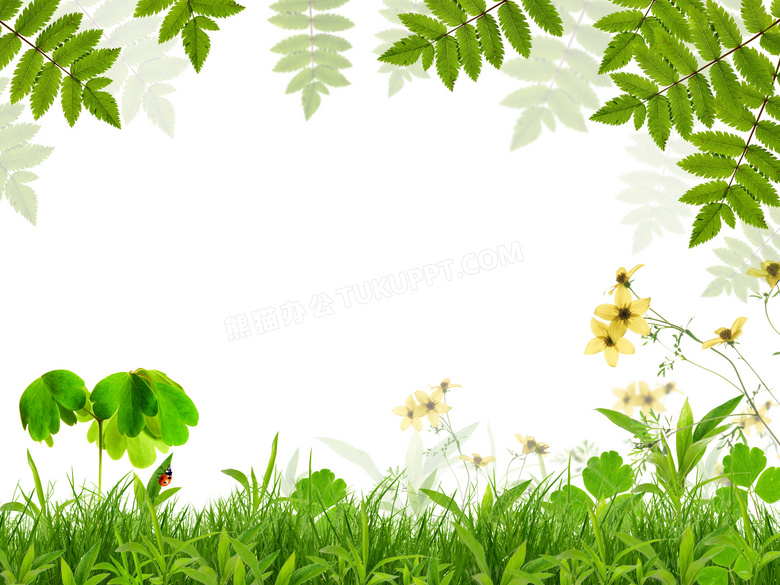 春天绿叶与青青草丛高清图片