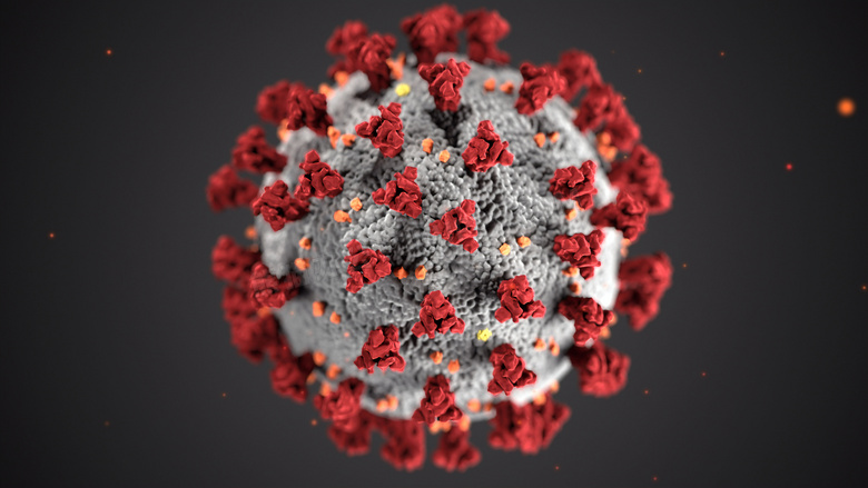 新冠状病毒图片