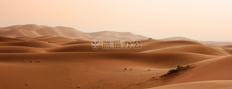 日光 沙漠 干旱