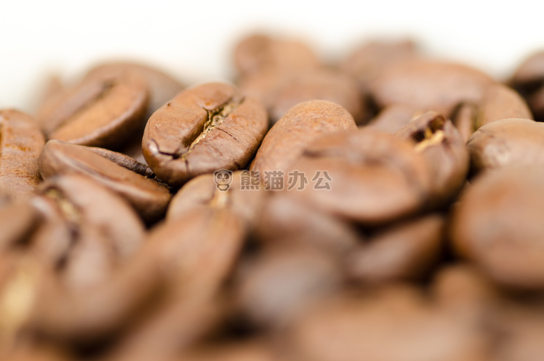 阿拉伯 阿拉比卡咖啡 芳香