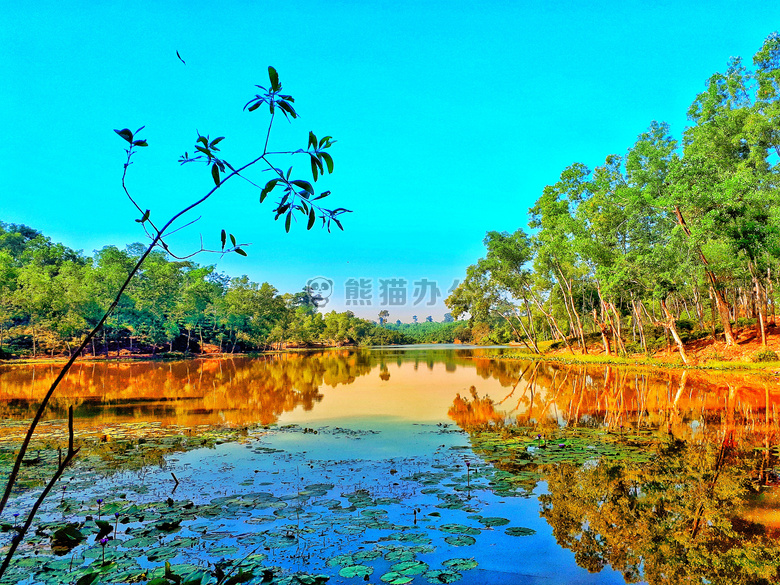 孟加拉国 madhabpur 湖
