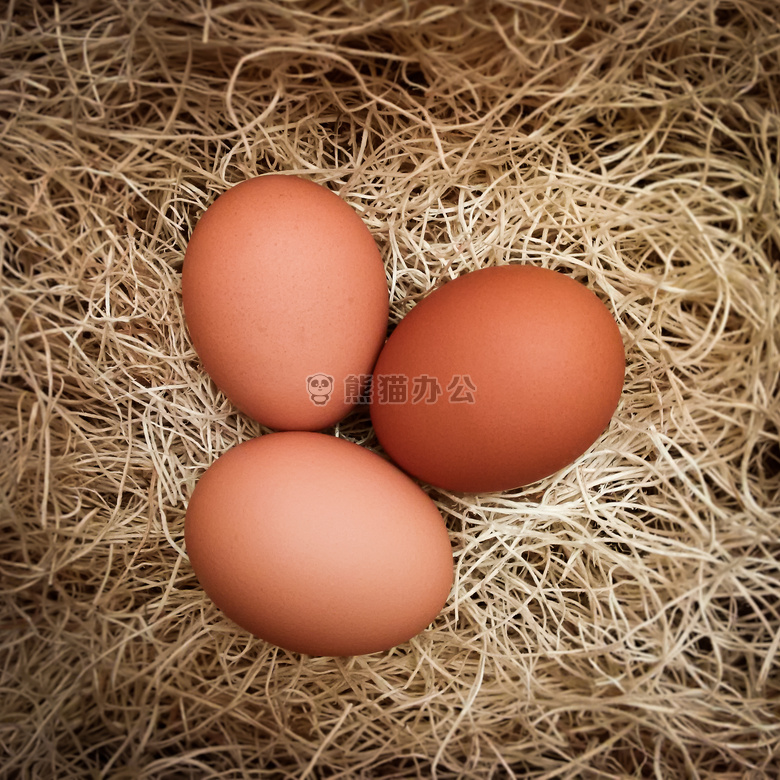 棕色的 鸡 鸡蛋