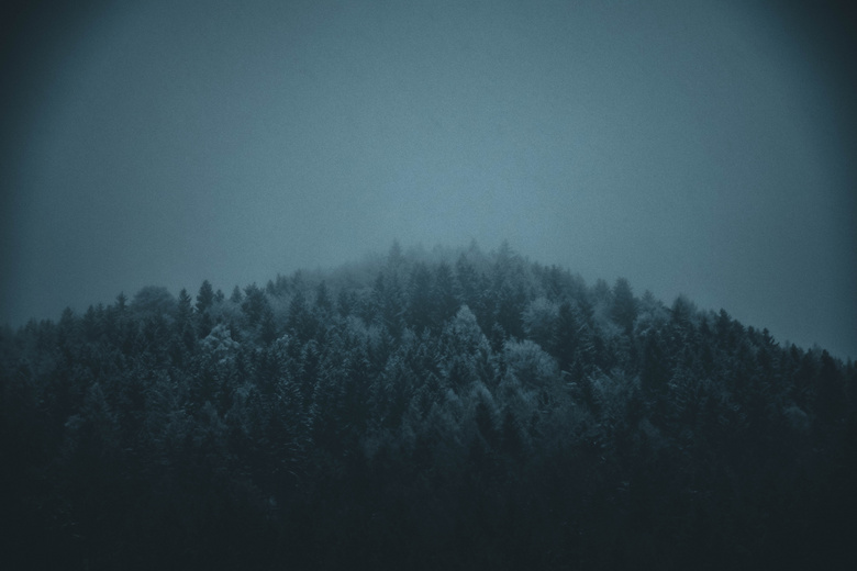黑暗的 雾 森林 