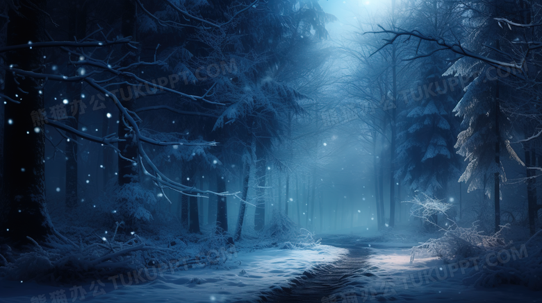 黑夜树林中的雪地风景摄影图