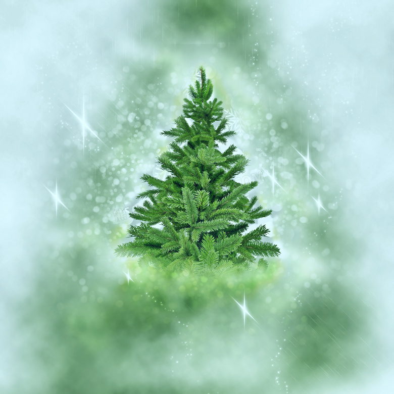 圣诞树绿色背景图