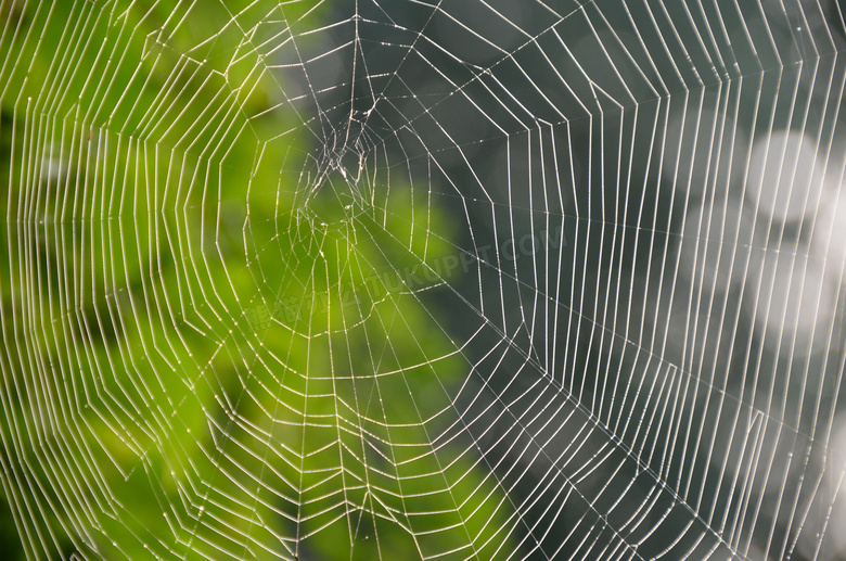 高清蜘蛛网素材图片