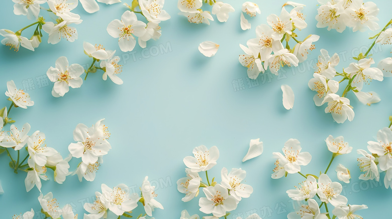 蓝色背景绽放的花朵装饰图片