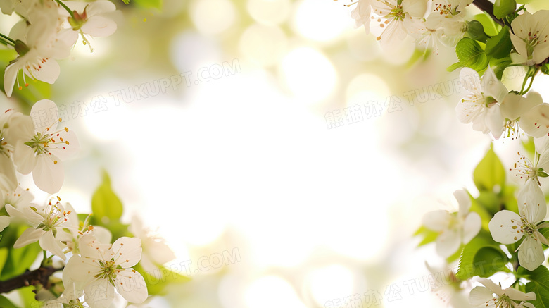 春季鲜花叶子装饰边框图片