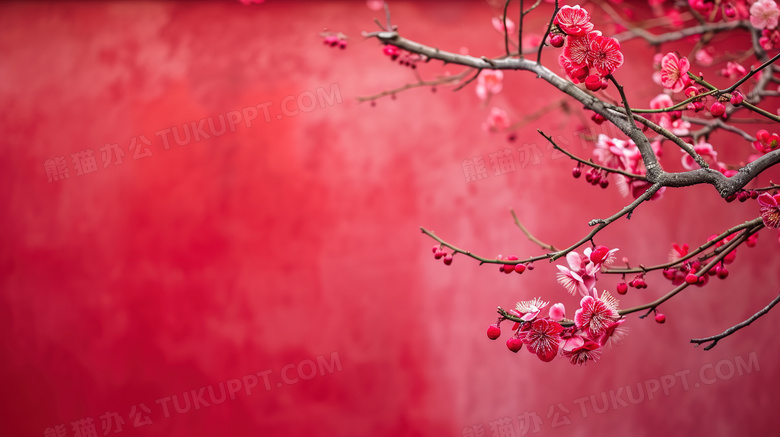 冬日下雪天红墙梅花美景图片