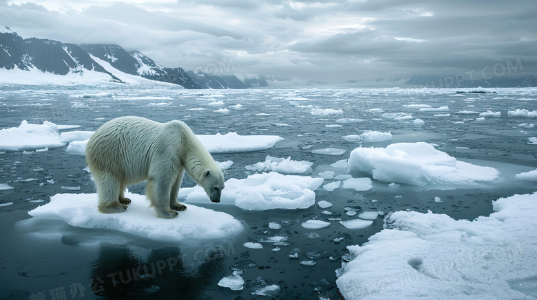 唯美冰山融化北极熊图片