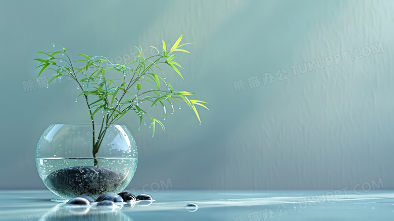 意境玻璃杯绿植图片