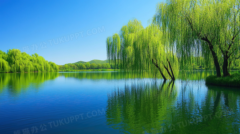 春暖花开春天自然风景图片