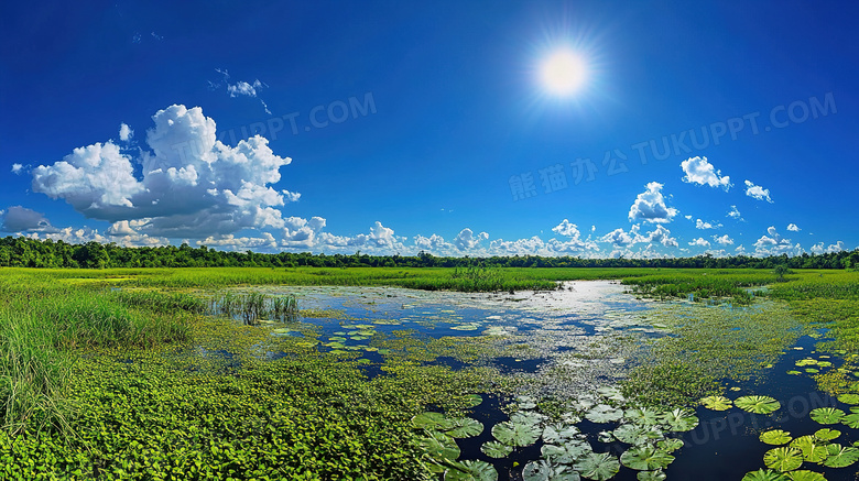 沼泽湿地自然保护区风景图片