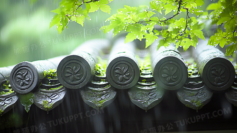 春天雨季春景屋檐下嫩绿叶子图片