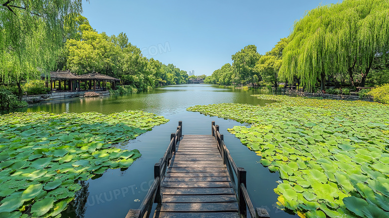 春天户外湖边美丽的荷花池景色图片