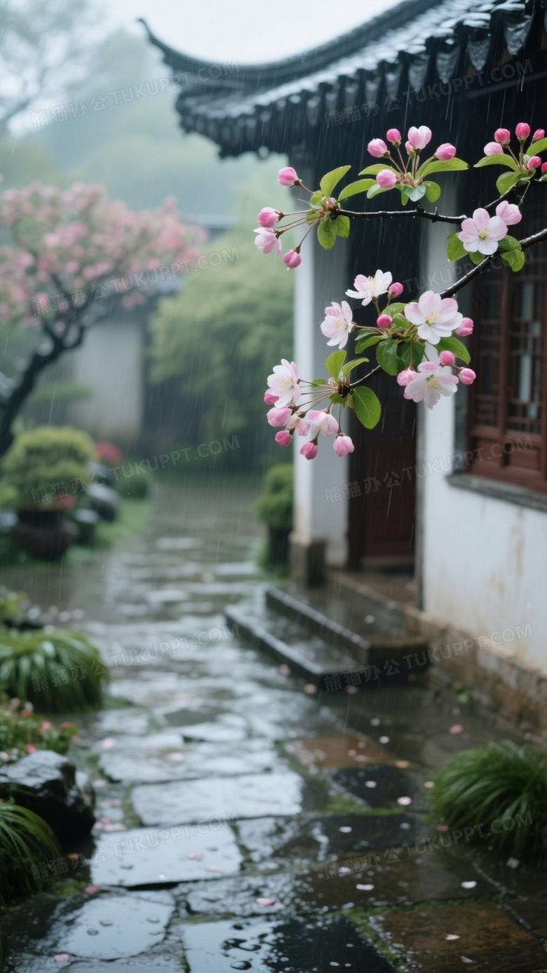 雨后庭院一枝海棠花清新脱俗娇嫩花蕾挂在屋前