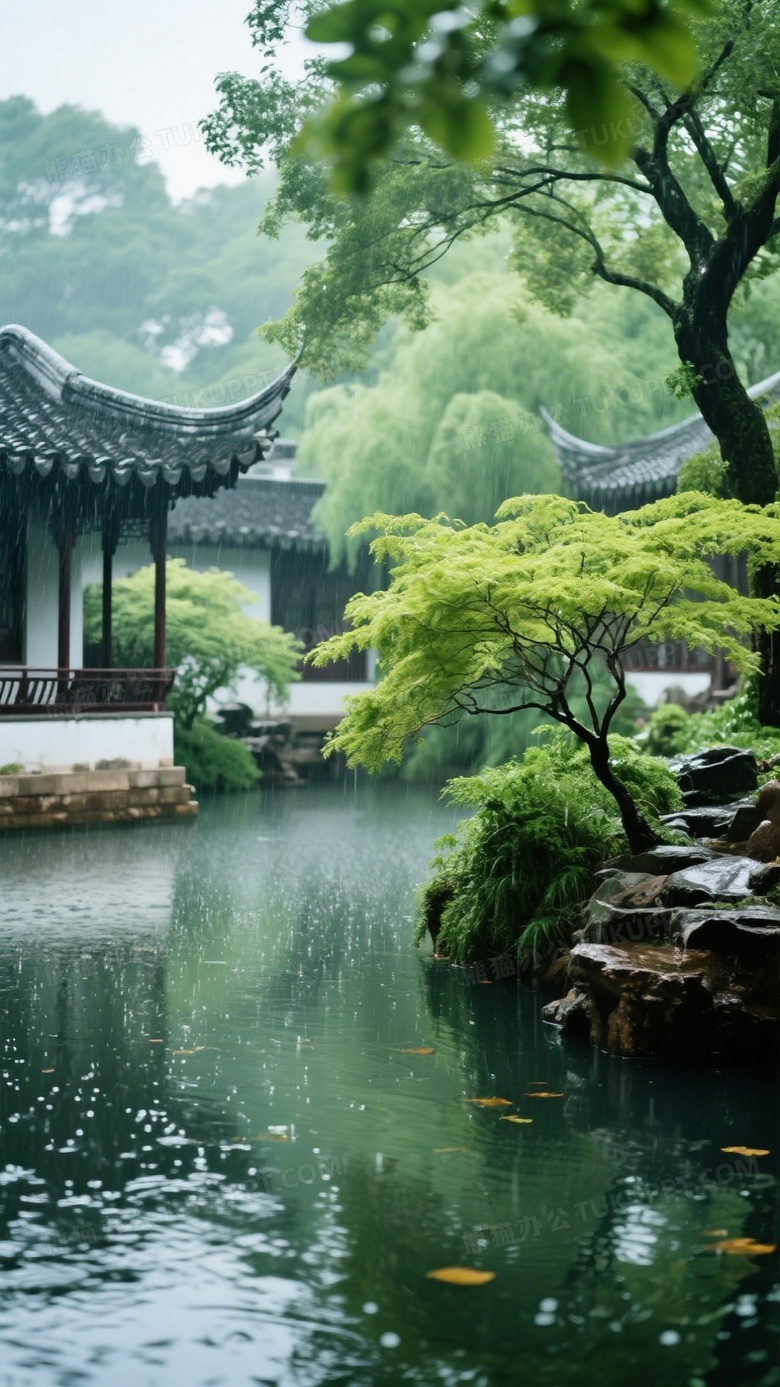 美景雨后的苏州园林明亮的颜色