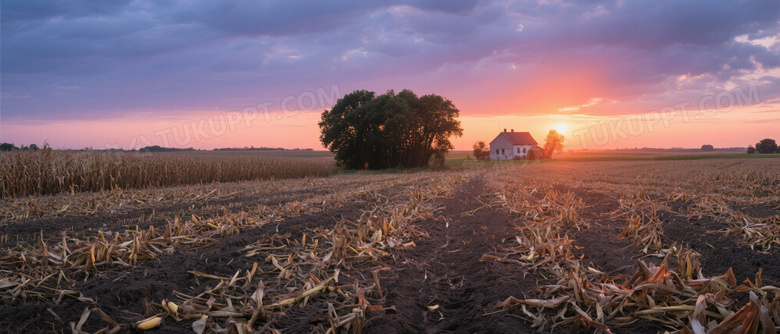 农田秸秆孤树农舍日落图片