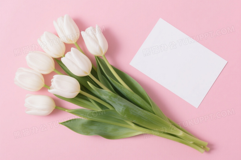 粉色背景白郁金香与卡片俯拍图片