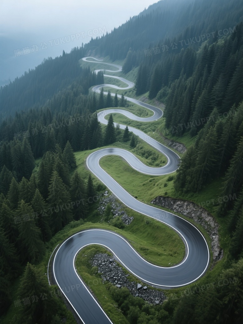 盘山公路穿针叶林俯拍图片