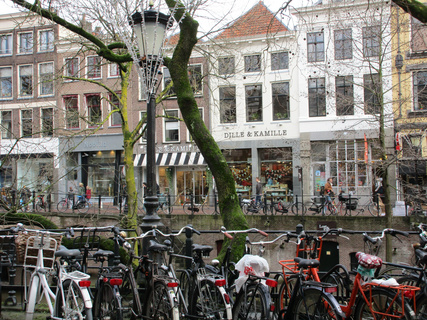 乌得勒支jpg格式图片下载_3264*4896像素_熊