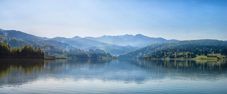 雾 森林 湖