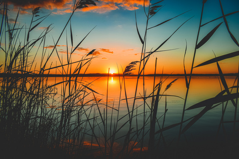 傍晚夕阳日落湖面小草摄影图