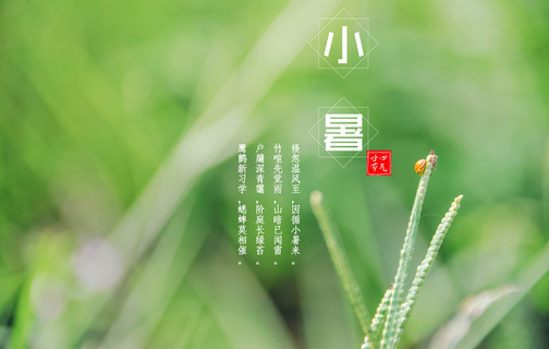 小暑节气