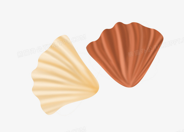 贝壳图片大全图解 780