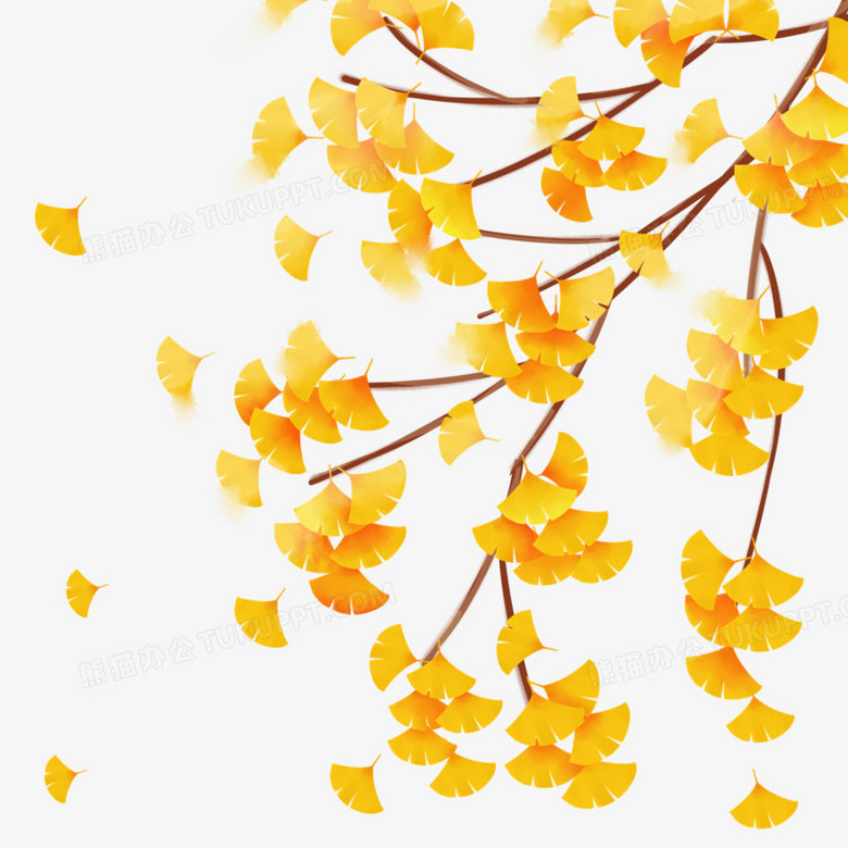 金色秋季的形容词 780