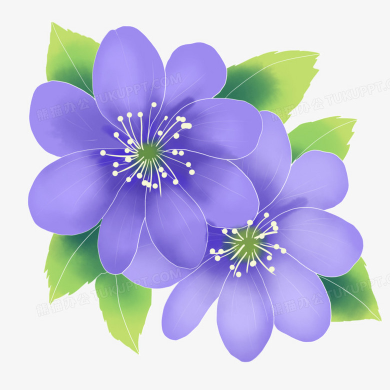 水彩淡雅紫罗兰色花朵组合