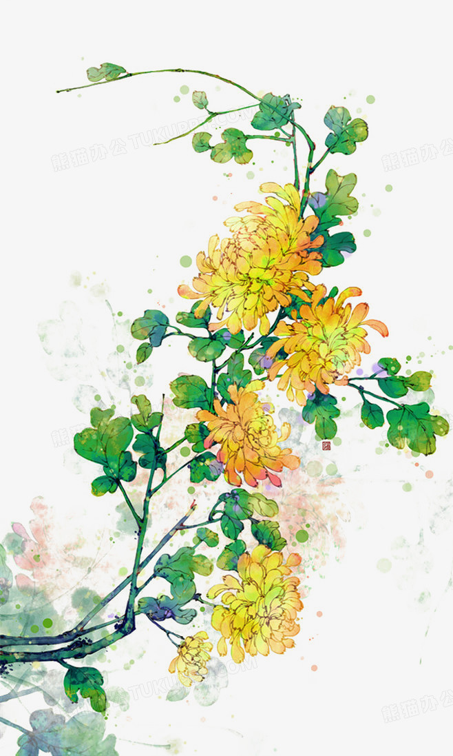 手绘花卉黄色菊花