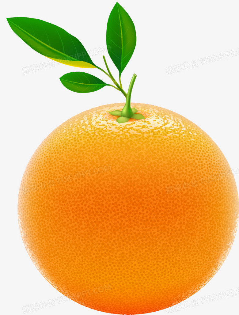 橙子 新鲜 香橙 橘子