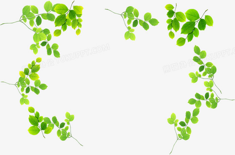 绿色的小树叶边框装饰png图片素材免费下载_边框png_2575*1701像素