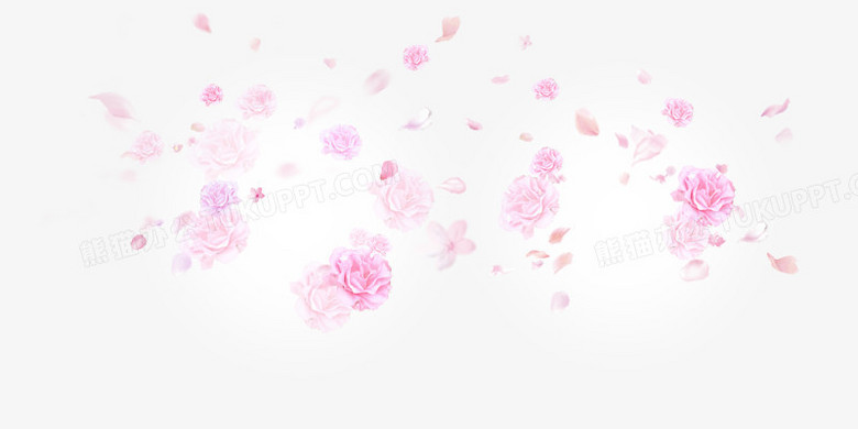 花瓣 漂浮 png免扣透明背景