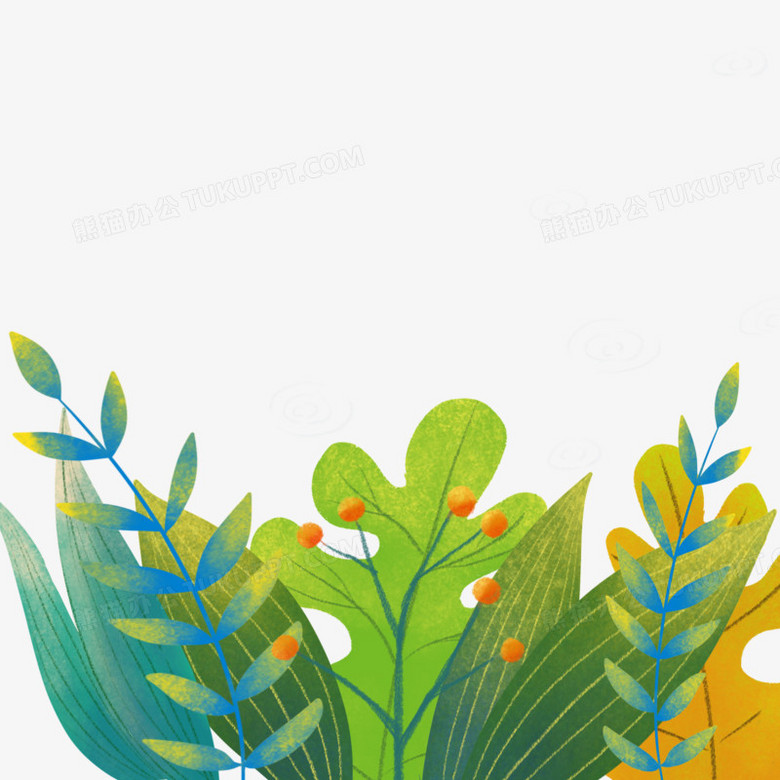 手绘插画风植物装饰免抠元素