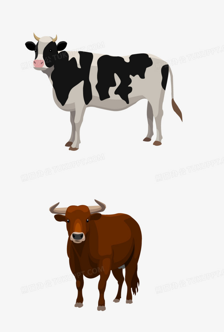 奶牛