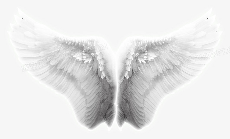 翅膀天使的翅膀淘宝素材翅膀特效
