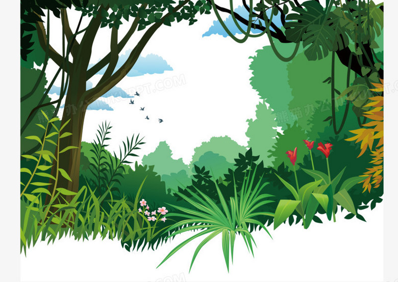 森林海报背景热带雨林树林png图片素材免费下载_海报