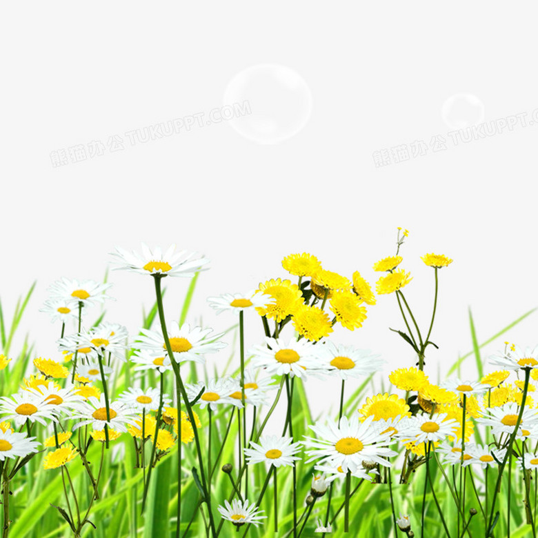 画小花小草简便 780