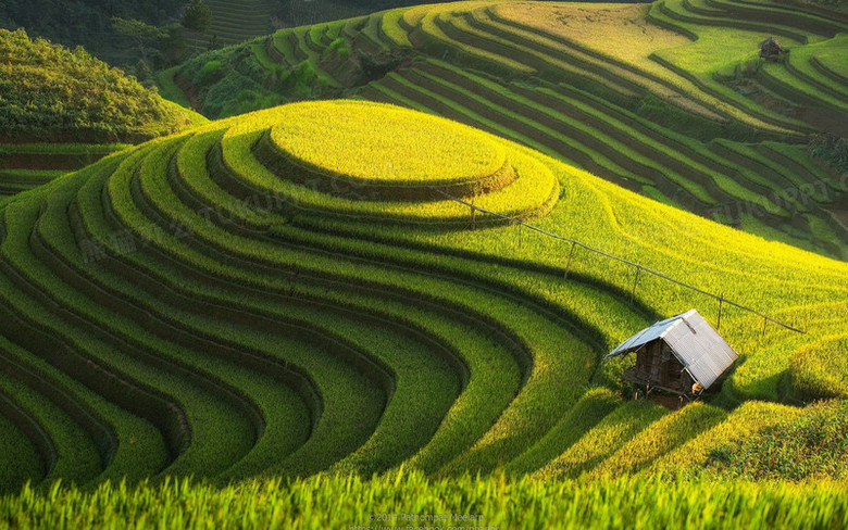 唯美丘陵梯田风景png图片素材下载_风景png_熊猫办公