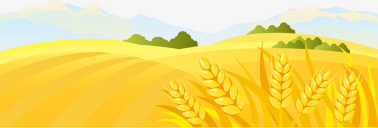 作品以黄色为背景,设计了秋季一片成熟的金麦田,整体呈现简约风.