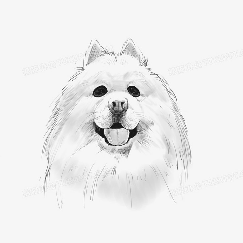 本作品全称为《卡通手绘可爱狗狗萨摩耶元素》,使用 adobe photoshop